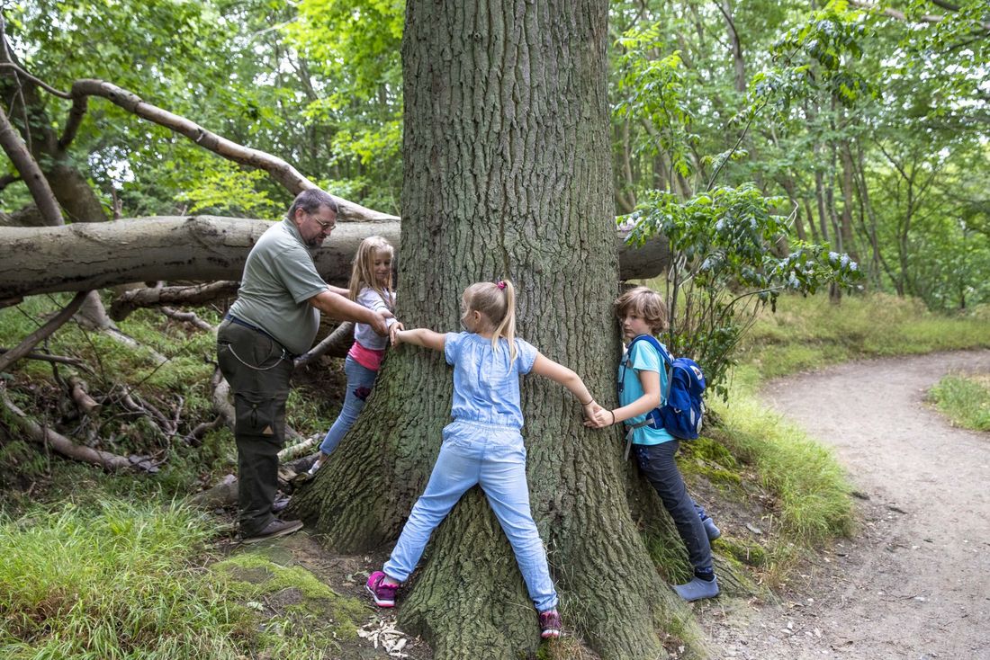 Abenteuer Nordperd für unsere kleinen Gäste*