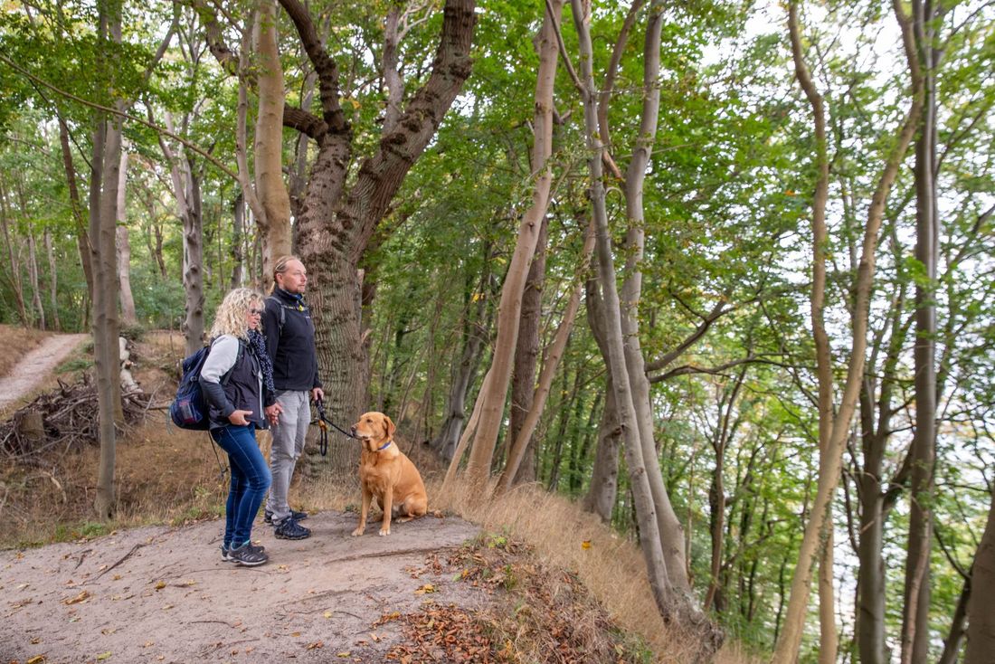 Gastgeberwoche 2025: Hunde-Krimiwanderung