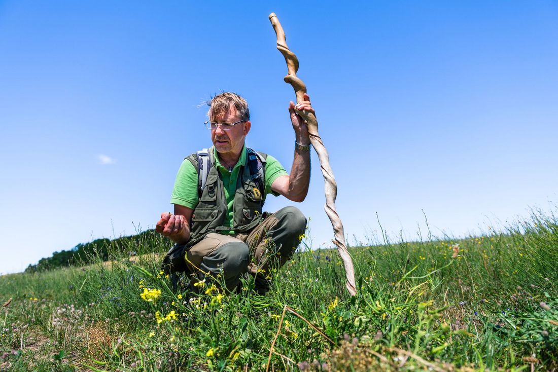 Gastgeberwoche 2025: Unterwegs durch die Mönchguter Natur im Jahreslauf