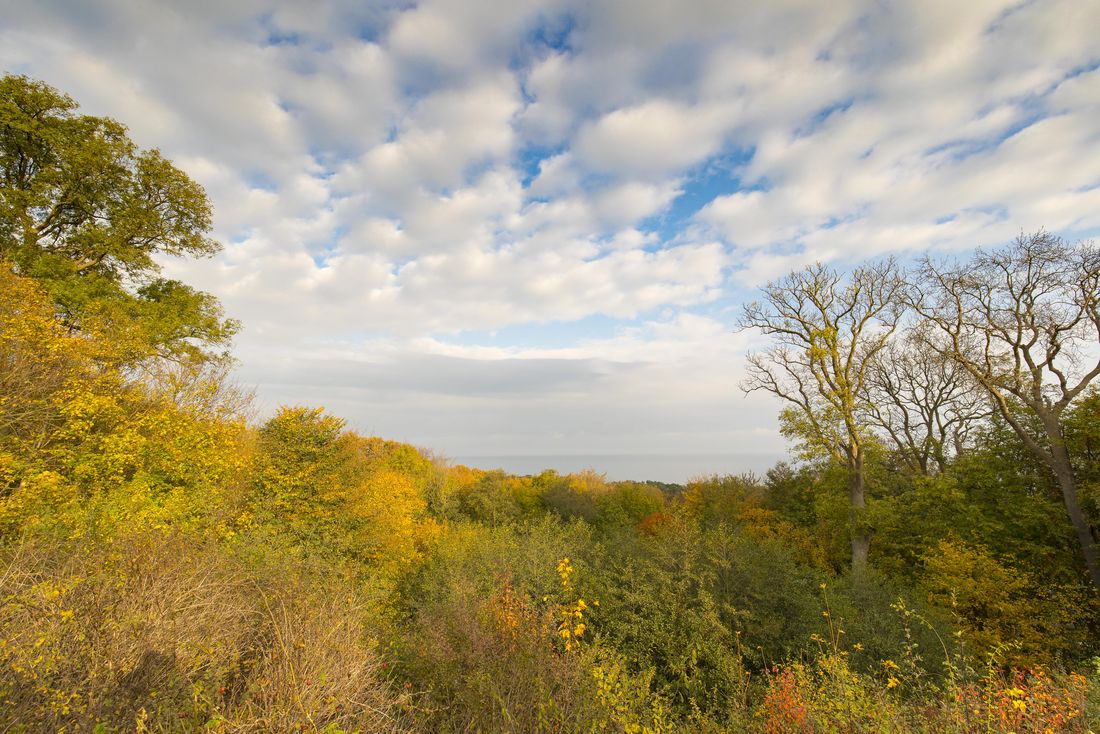 Gemütlicher Herbstspaziergang